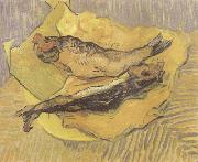 Crab on Its Back (nn04), Vincent Van Gogh